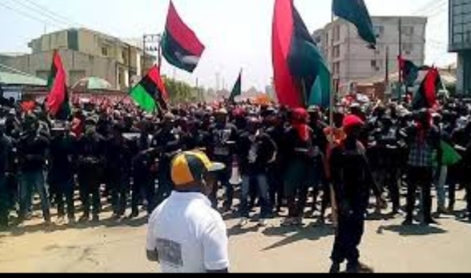 Anambra Guber: IPOB Declares One-Week Sit-At-Home Protest Ahead Of Poll