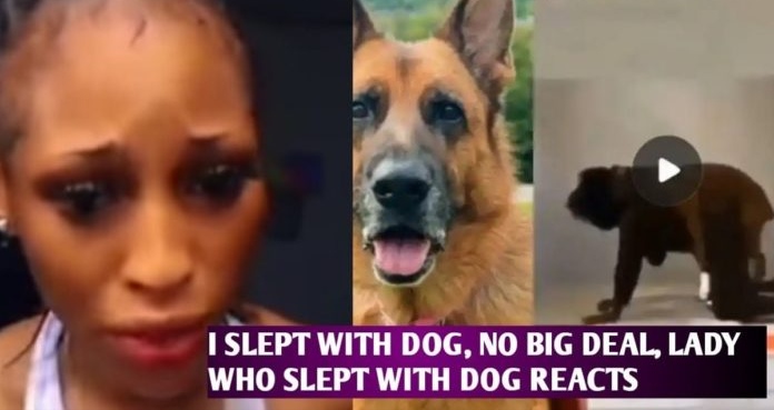 Ladies Sleeping With Dog: Risk Of Deadly Infections That May Spread To The Rest Of The World – Health Experts