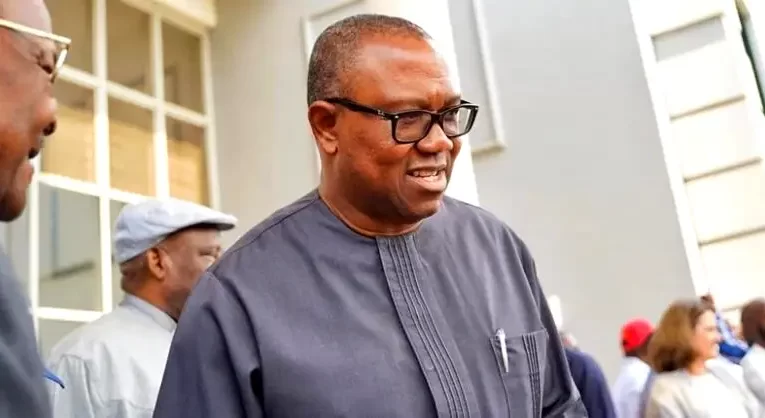 2023: Why Some Powerful People Are Against Me – Peter Obi
