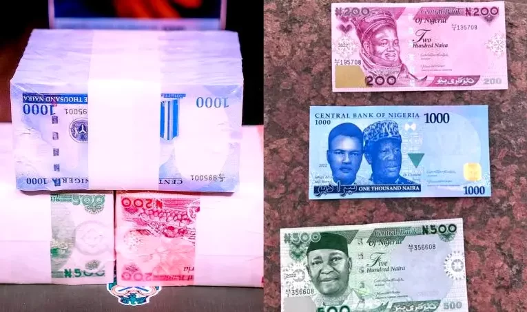 Five Ways On How To Identify Fake Naira Notes
